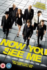 Now You See Me 1 (2013)